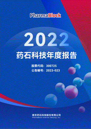 药石科技2022年年度报告（245页）