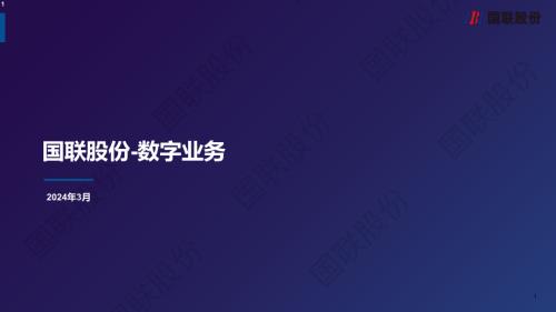 国联股份数字平台业务介绍-16