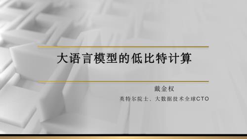 大语言模型的低比特计算 戴金权