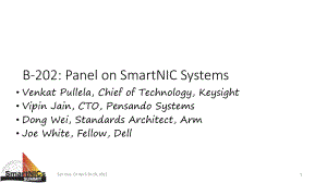 1B-202_B-202 Panel on SmartNIC Systems.PPTX