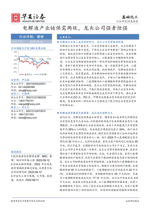 基础化工行业深度报告：电解液产业链供需两旺龙头公司强者恒强-220915（86页）