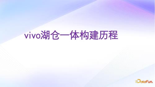 vivo湖仓一体-徐昱-datafun