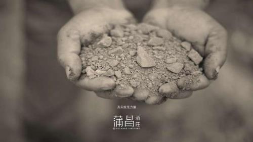 6.15 酒零后+蒲昌酒庄+周成功+中文