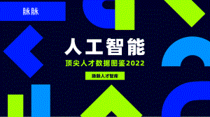 脉脉：人工智能顶尖人才数据图鉴2022（30页）