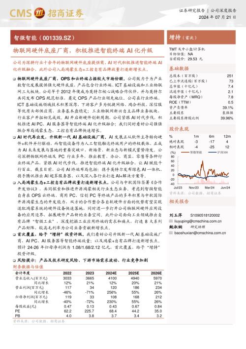 智微智能-公司研究报告-物联网硬件底座厂商积极推进智能终端AI化升级-240721（29页）