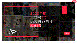 小红书：2023年3月小红书内衣行业月报（18页）