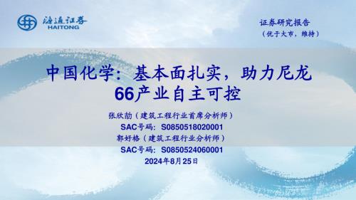 中国化学-公司研究报告-基本面扎实助力尼龙66产业自主可控-240825（26页）