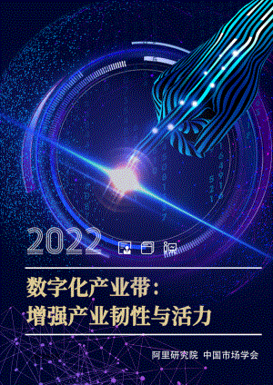 阿里研究院：数字化产业带：增强产业韧性与活力（2022）（24页）