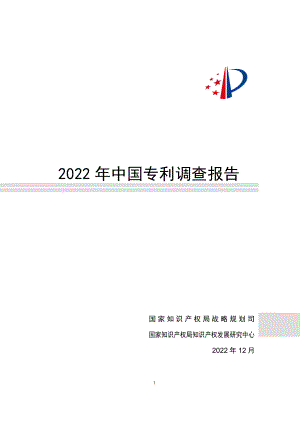 国家知识产权局：2022年中国专利调查报告（252页）