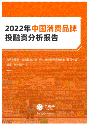 IT桔子：2022年中国消费品牌投融资分析报告（18页）