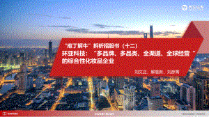 化妆品行业“庖丁解牛”拆析招股书（十二）：环亚科技“多品牌、多品类、全渠道、全球经营“的综合性化妆品企业-230120（50页）