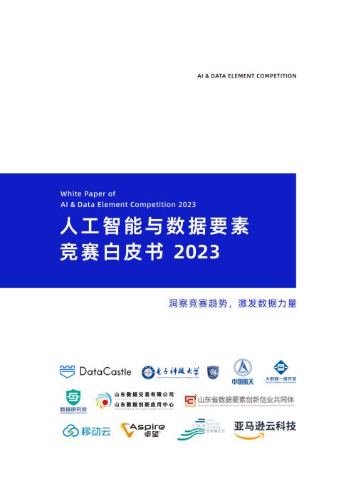 DataCastle数据城堡：人工智能与数据要素竞赛白皮书2023（67页）
