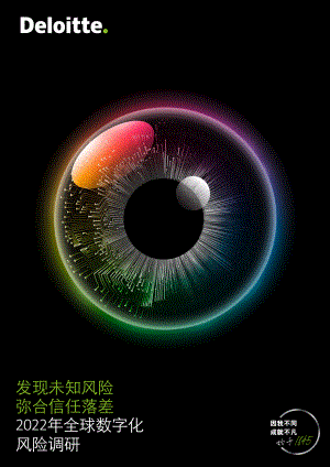 2022年全球数字化风险调研报告(17页)