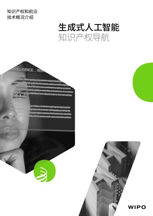 世界知识产权组织WIPO：2024生成式人工智能知识产权导航研究报告（15页）