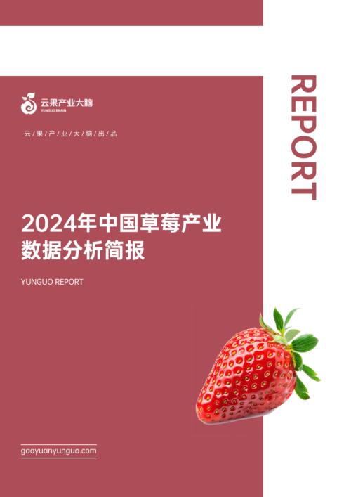 云果:2024年中国草莓产业数据分析简报(18页)