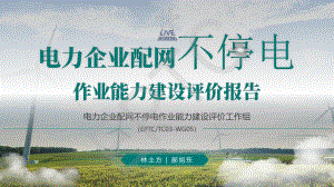 林土方-电力企业配网不停电作业能力建设评价报告