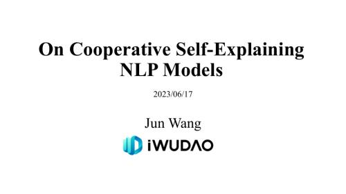 基于协作的自解释 NLP 模