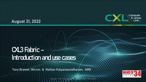 Hot Chips 2022 CXL3 Fabric Intro and use cases
