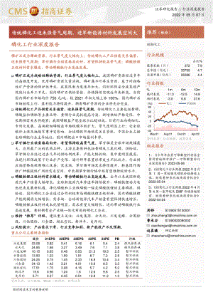 磷化工行业深度报告：传统磷化工迎来强景气周期进军新能源材料发展空间大-220507（25页）
