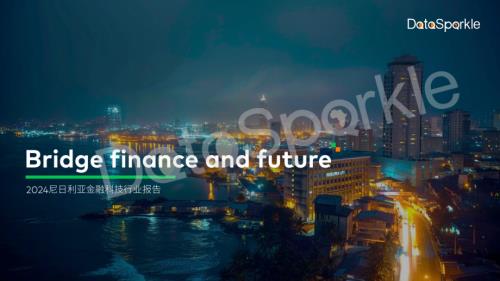 DataSparkle：2024尼日利亚金融科技行业报告（26页）