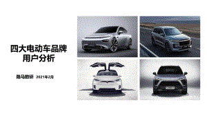 隐马数研:四大电动车品牌用户分析(23页)