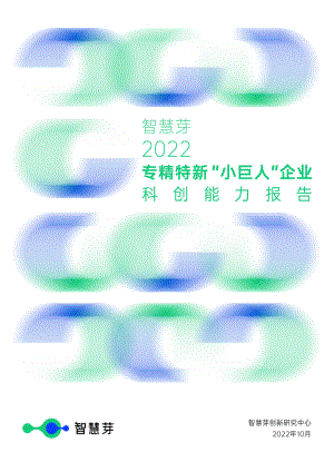 智慧芽：2022专精特新“小巨人”企业科创能力报告（41页）