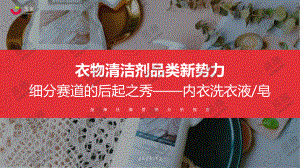 果集数据：2021年内衣洗衣液皂行业社媒营销分析报告（26页）