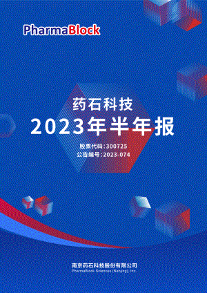 药石科技2023年半年报（208页）