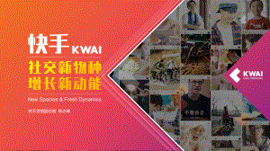 快手：社交新物种增长新动能(28页)