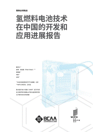 BCAA：氢燃料电池技术在中国的开发和应用进展报告（28页）
