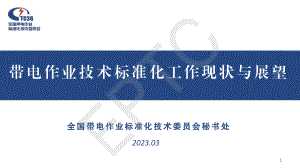 刘凯-带电作业技术标准化工作现状与展望