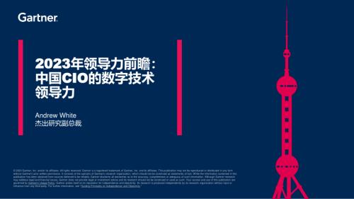 2023年领导力远景：中国首席信息官（CIO）的数字技术领导力
