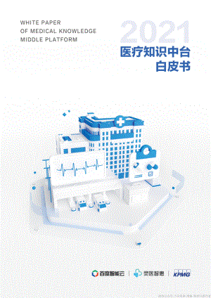 医疗知识中台白皮书画册（43页）