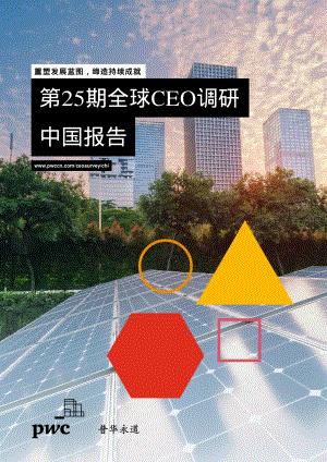 第25期全球CEO调研中国报告（40页）
