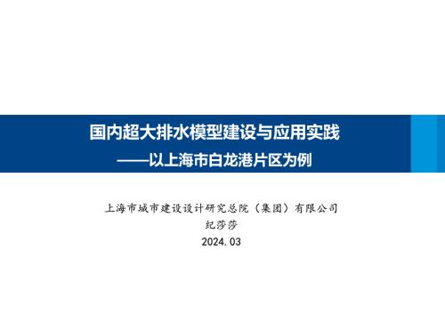 1纪莎莎-国内超大排水模型建设与应用实践