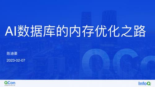 AI 数据库的内存优化之路-陈迪豪
