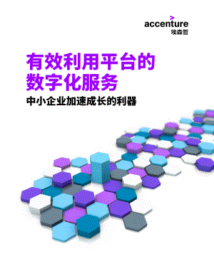 埃森哲：有效利用平台的数字化服务：中小企业加速成长的利器（9页）