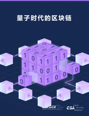 云安全联盟：量子时代的区块链（16页）