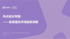 美丽修行：2022胶原蛋白市场趋势洞察报告（26页）