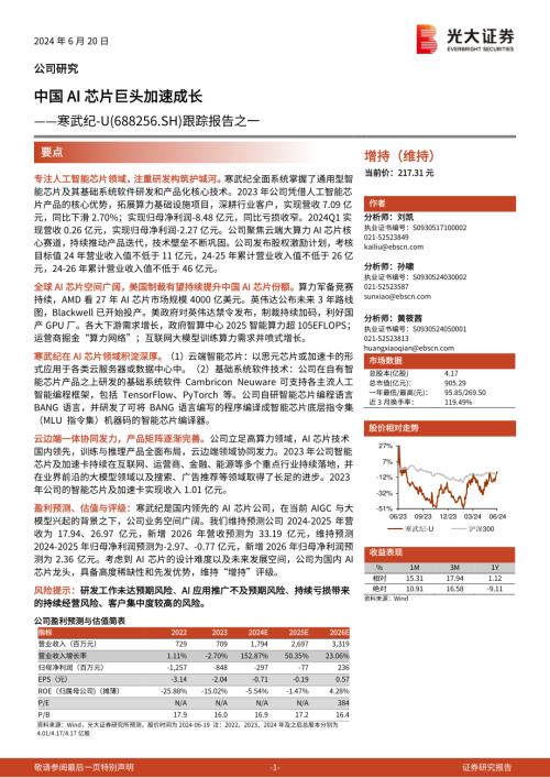 寒武纪-公司跟踪报告之一:中国AI芯片巨头加速成长-240620(33页)