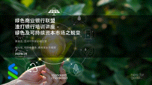 绿色商业银行联盟：绿色及可持续资本市场之蜕变（30页）
