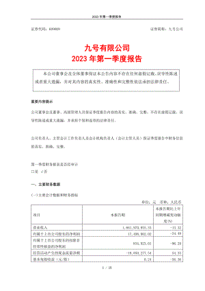 九号有限公司2023年第一季度报告（15页）