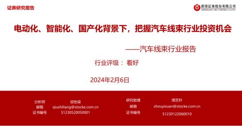 汽车线束行业报告：电动化、智能化、国产化背景下把握汽车线束行业投资机会-240206（27页）