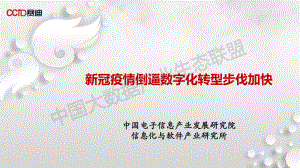 中国大数据产业生态联盟：新冠疫情倒逼数字化转型步伐加快（32页）