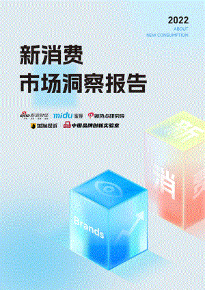 蜜度&新浪财经：2022年新消费市场洞察报告（51页）