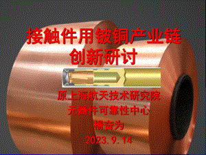 杨奋为-接触件用铍铜产业链创新研讨