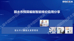 丽水市预算编制智能核价应用分享=王剑