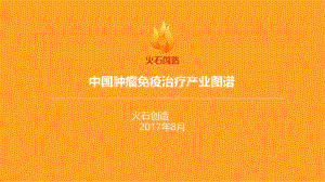 火石创造：中国肿瘤免疫治疗产业图谱（33页）