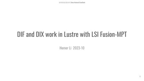 李焱-DIF and DIX work in Lustre with LSI Fusion-MPT