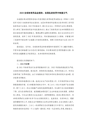 麦肯锡：2023全球体育用品行业报告（摘译版）（11页）